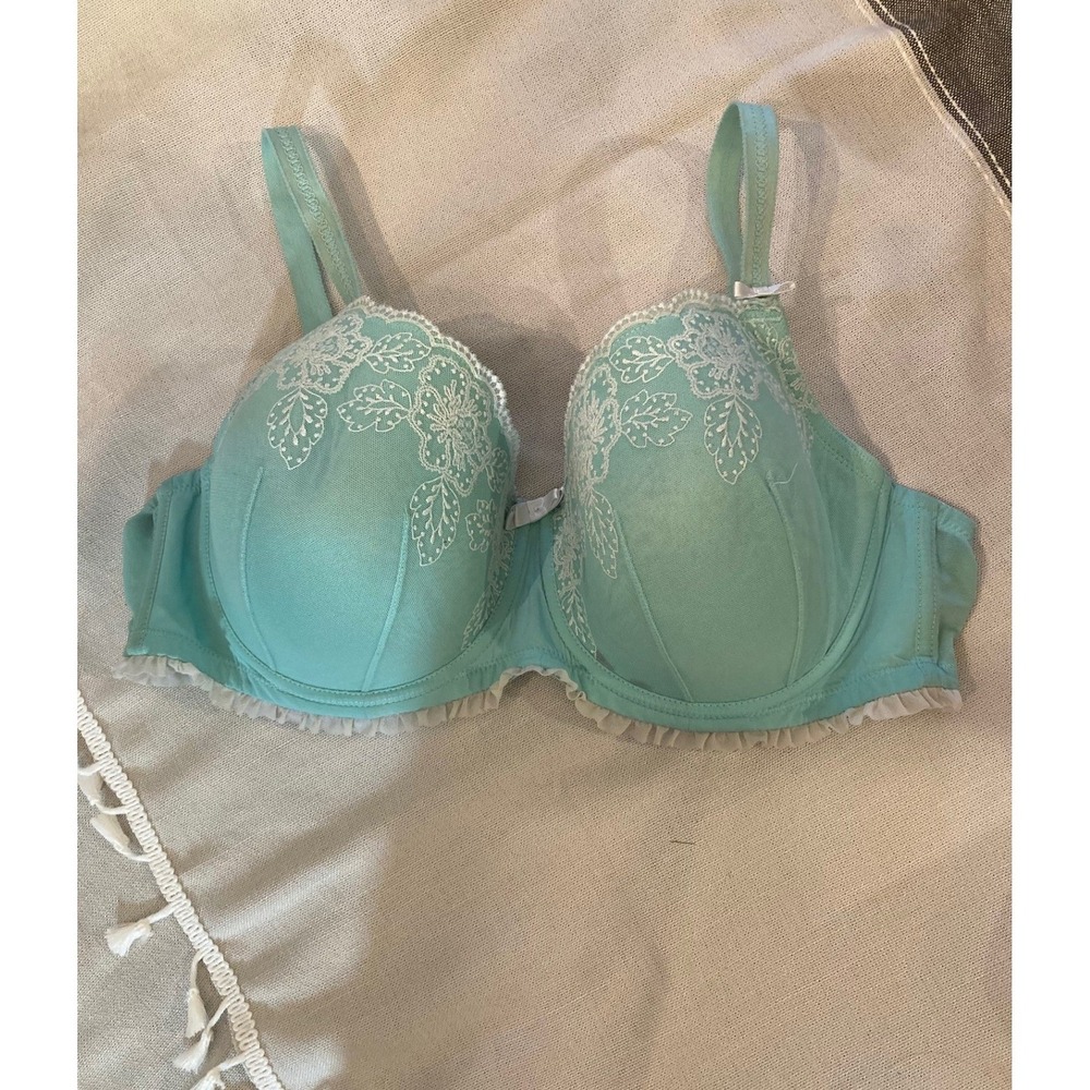 Adore Me Underwire Bra 40DD Mint Embroidered Ruffled Coquette Feminine Romantic